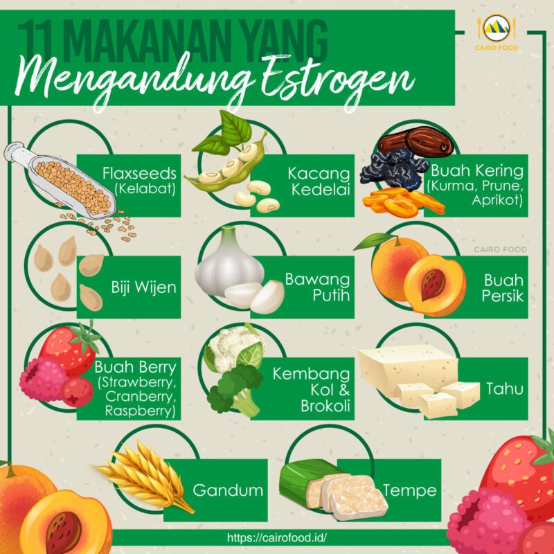 herbal penambah hormon estrogen