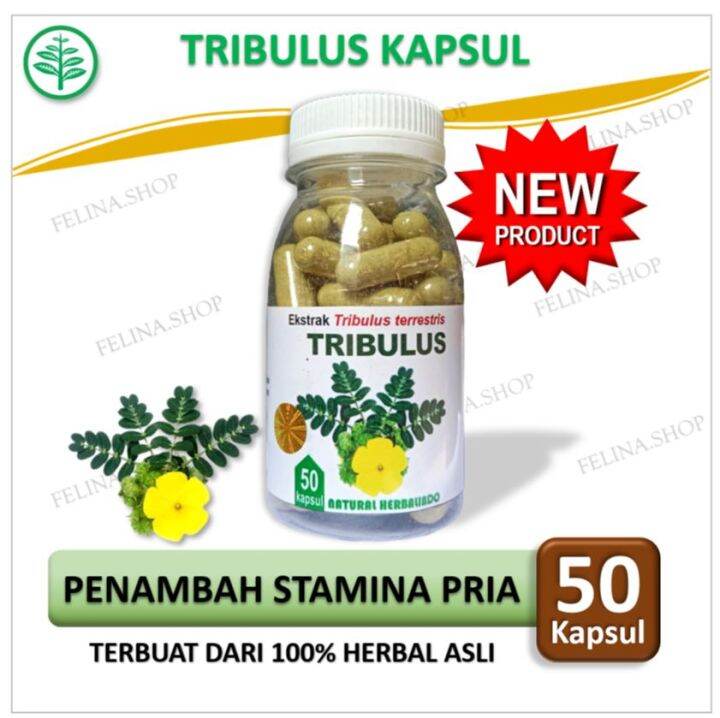 Herbal Penambah Hormon Estrogen