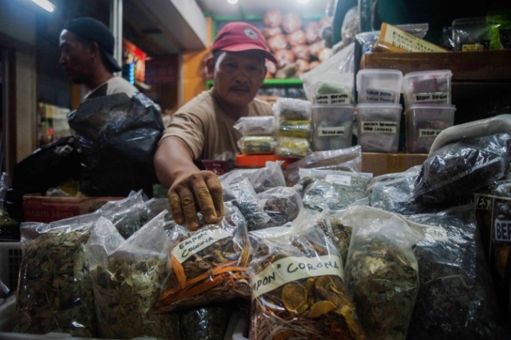 Herbal Pendamping Kemoterapi