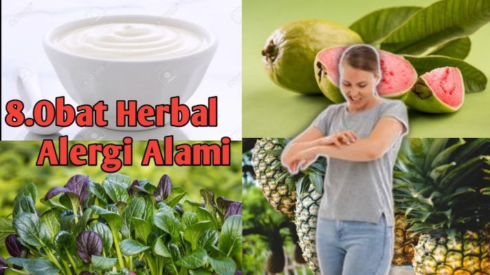 herbal untuk alergi ringan