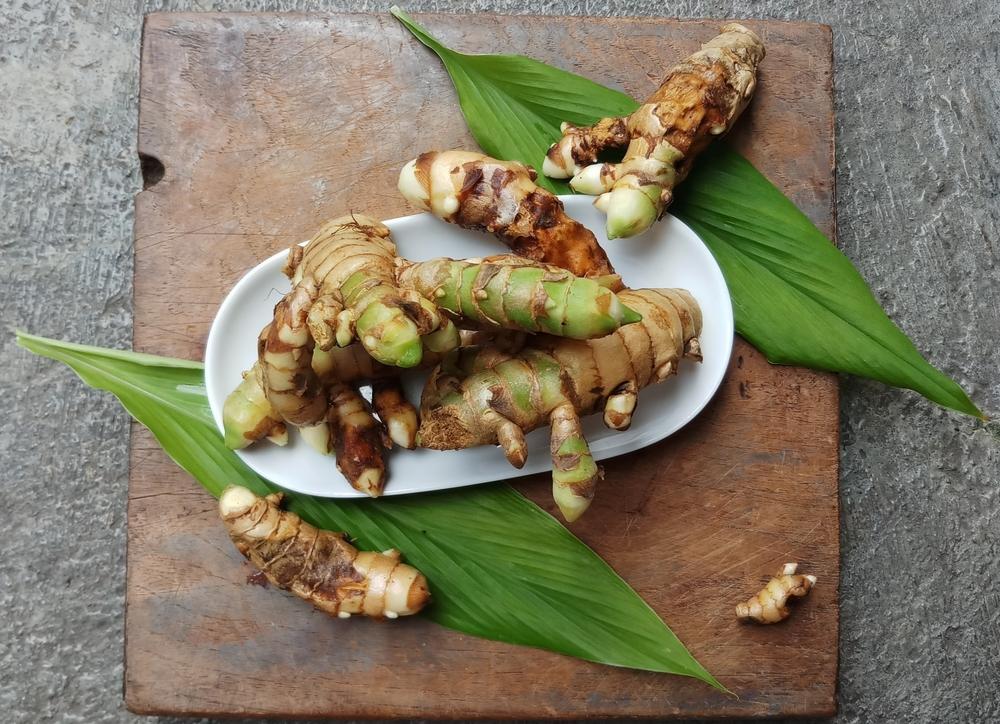 herbal untuk hepatitis