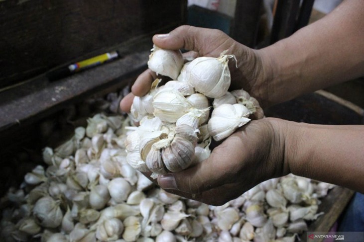 herbal untuk lupus