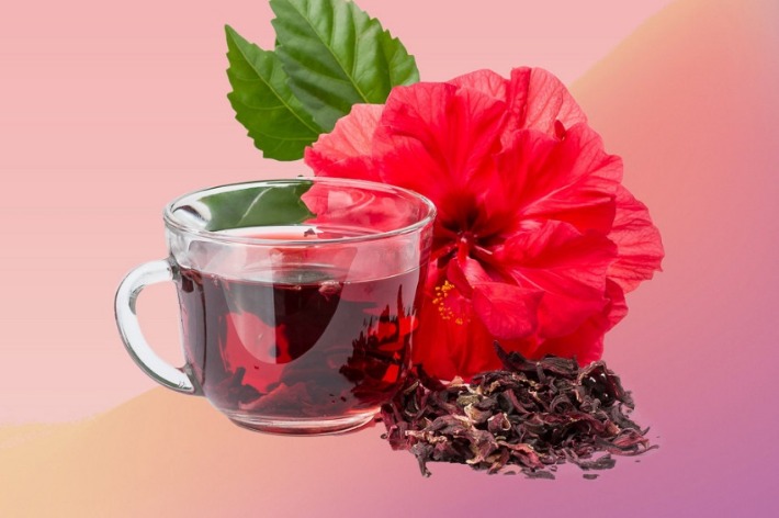Herbal Untuk Penderita Diabetes