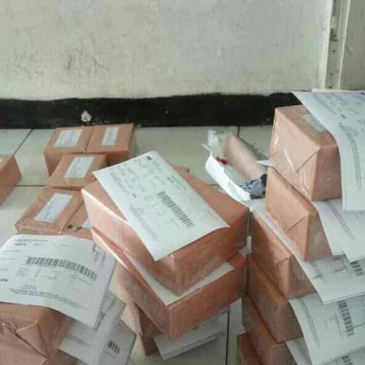 herbal untuk stroke ringan