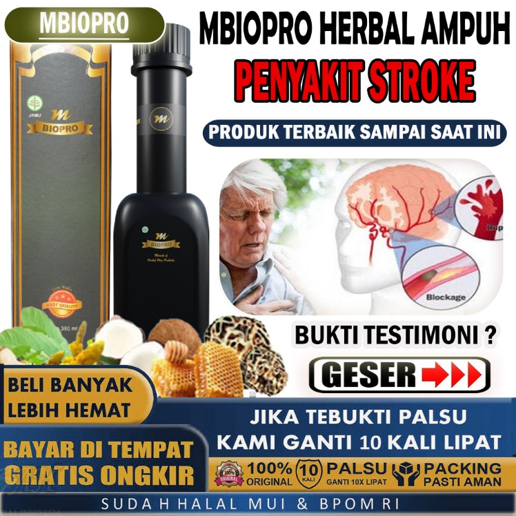 herbal untuk stroke ringan