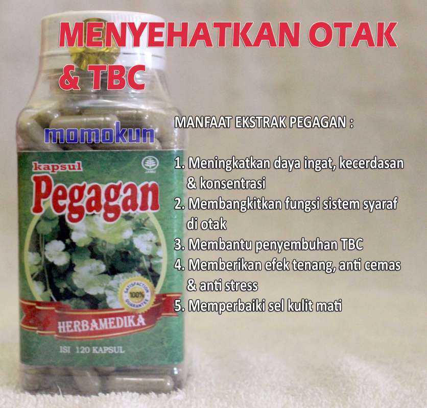 herbal untuk tbc
