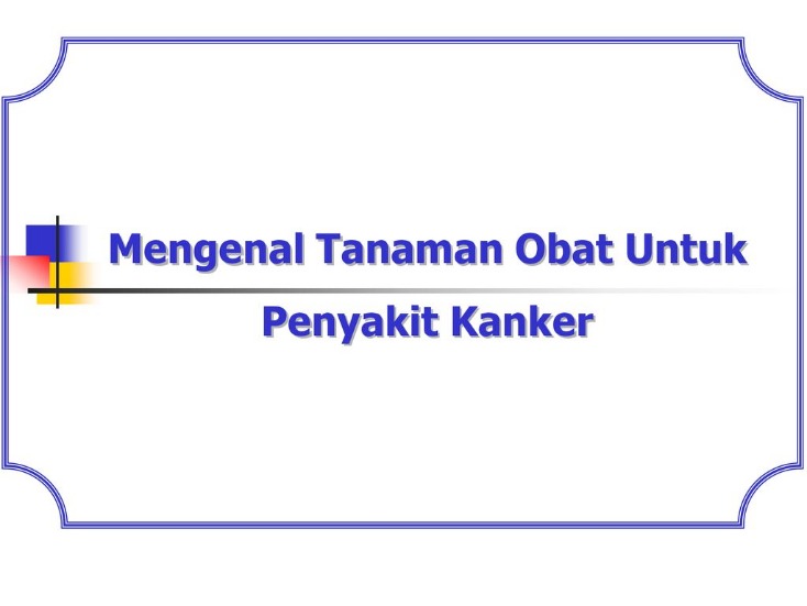 khasiat tanaman obat