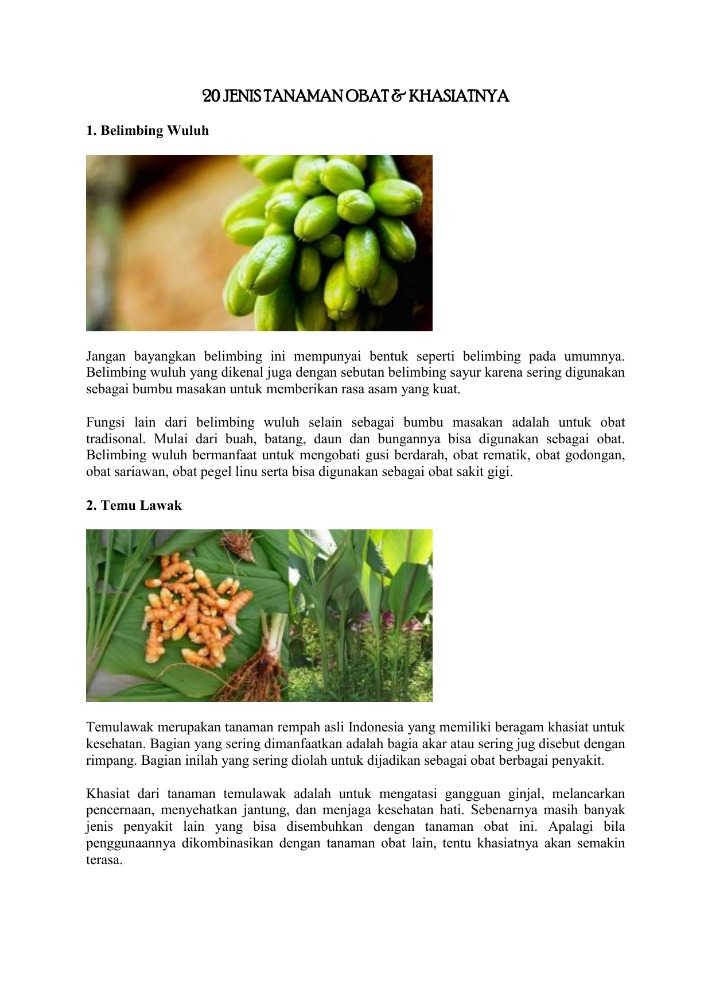 Manfaat Tumbuhan Obat Tradisional