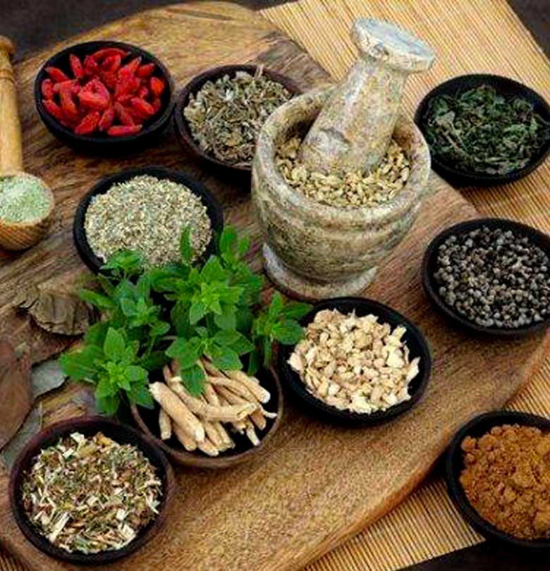 manfaat tumbuhan obat tradisional