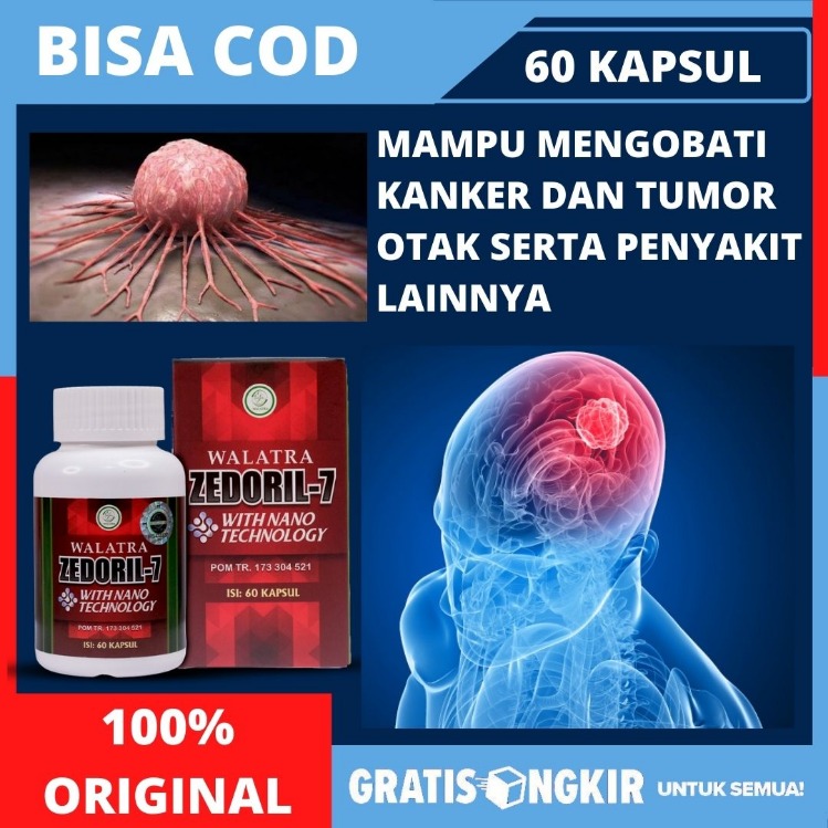 obat herbal untuk kanker payudara