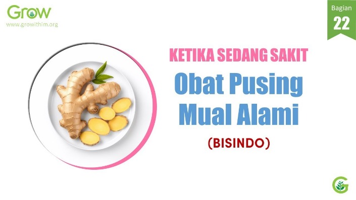 tanaman anti mual alami