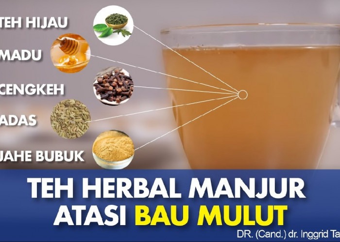 tanaman obat untuk infeksi