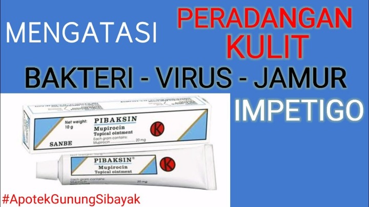tanaman obat untuk infeksi