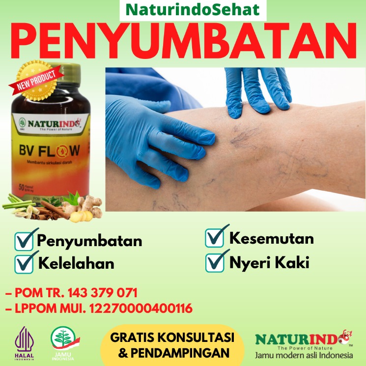 tanaman pelancar peredaran darah