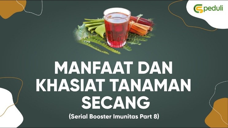 tanaman penambah imun