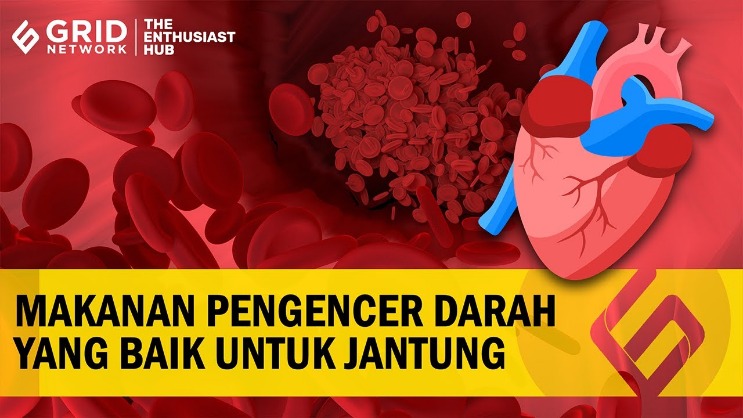 tanaman pengencer darah alami