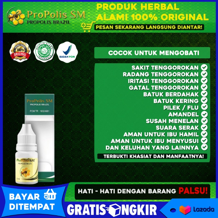 tanaman untuk sakit perut