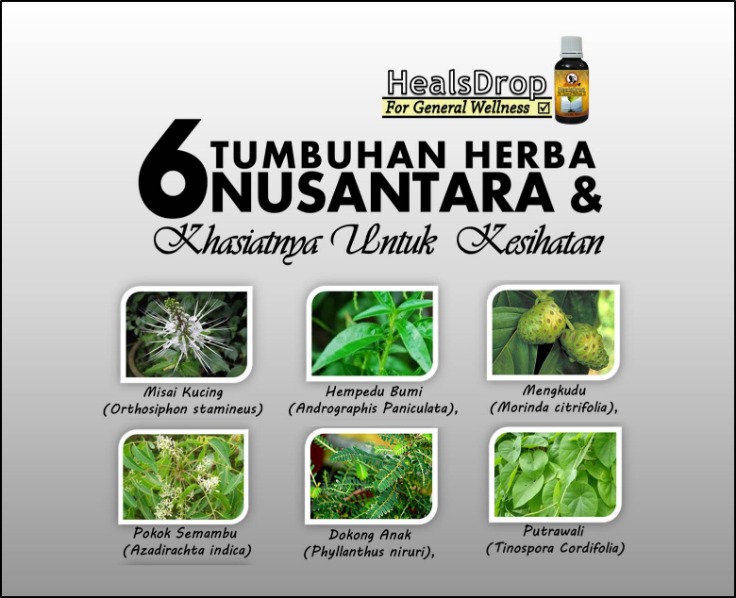 tumbuhan herbal untuk kesehatan