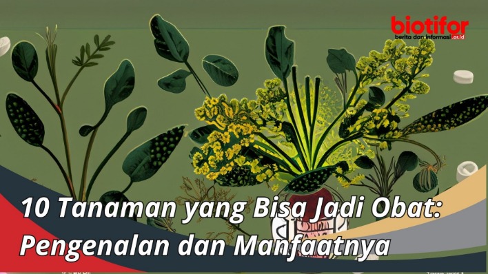 tumbuhan herbal untuk kesehatan