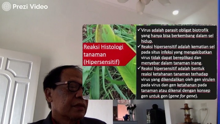 tumbuhan penyembuh luka infeksi